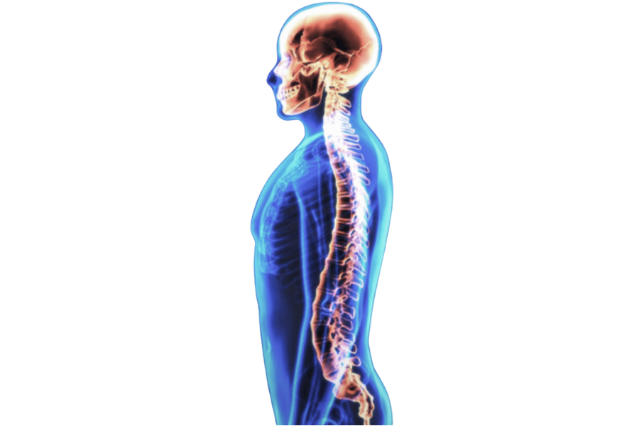 Doğru postür illüstrasyonu